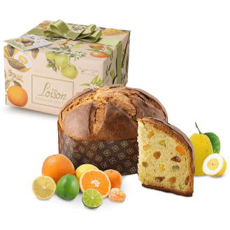 ���C�]���@�p�l�b�g�[�l�E������