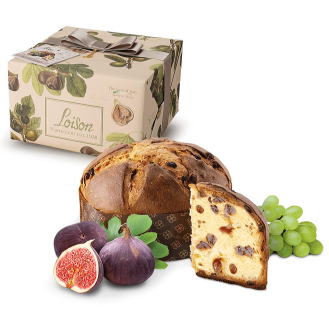 ���C�]���@�p�l�b�g�[�l�E�m���`���R���[�g